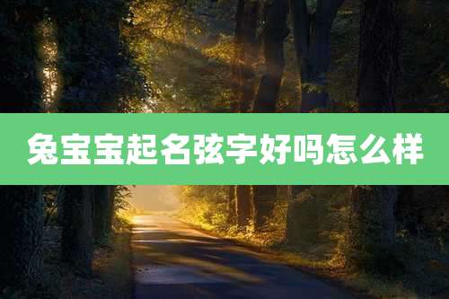 兔宝宝起名弦字好吗怎么样