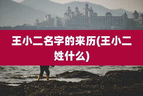 王小二名字的来历(王小二姓什么)