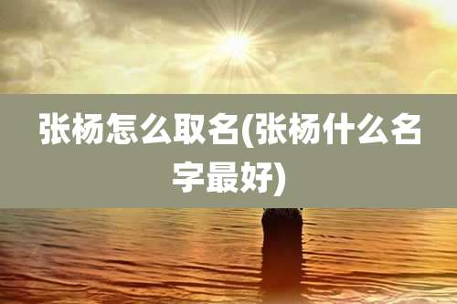 张杨怎么取名(张杨什么名字最好)