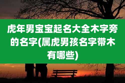 虎年男宝宝起名大全木字旁的名字(属虎男孩名字带木有哪些)