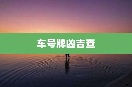 车号牌凶吉查