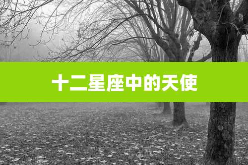 十二星座中的天使