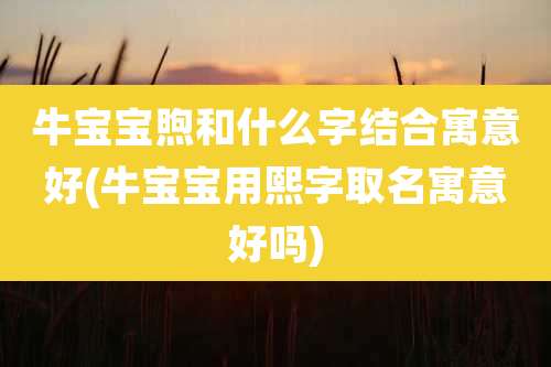 牛宝宝煦和什么字结合寓意好(牛宝宝用熙字取名寓意好吗)