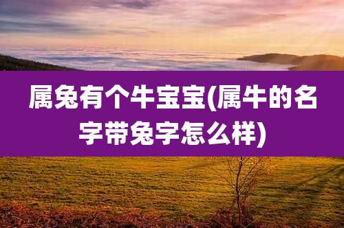 属兔有个牛宝宝(属牛的名字带兔字怎么样)