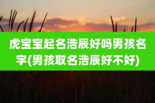 虎宝宝起名浩辰好吗男孩名字(男孩取名浩辰好不好)