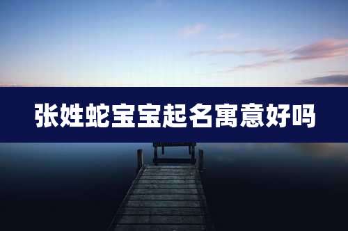 张姓蛇宝宝起名寓意好吗