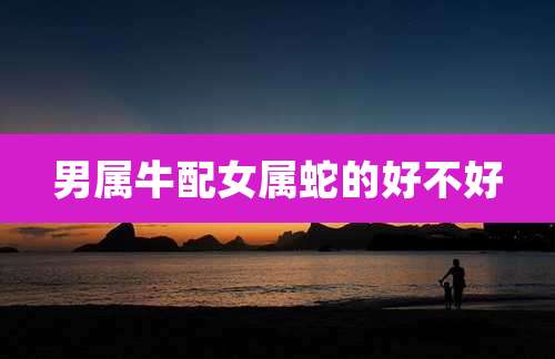 男属牛配女属蛇的好不好