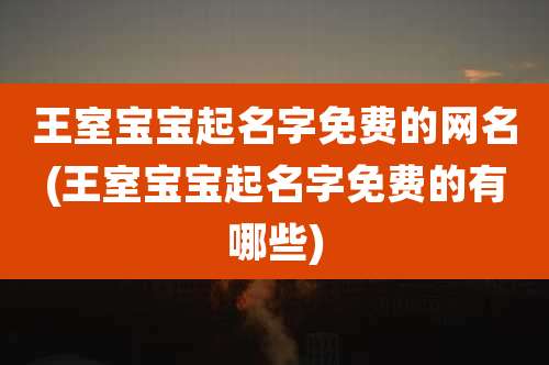 王室宝宝起名字免费的网名(王室宝宝起名字免费的有哪些)