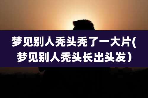 梦见别人秃头秃了一大片(梦见别人秃头长出头发）