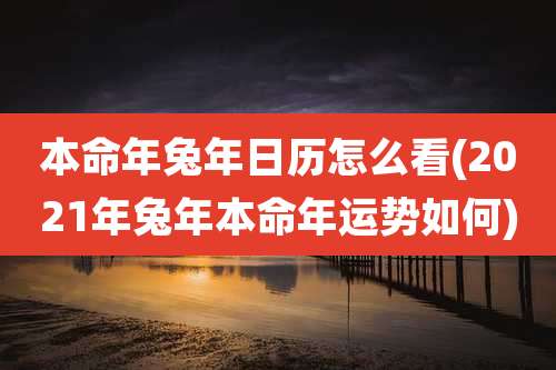 本命年兔年日历怎么看(2021年兔年本命年运势如何)