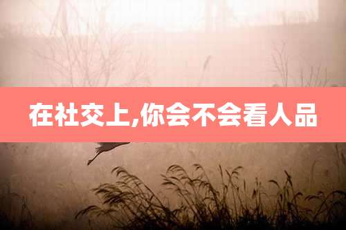 在社交上,你会不会看人品