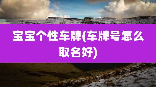 宝宝个性车牌(车牌号怎么取名好)