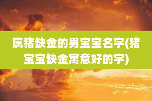 属猪缺金的男宝宝名字(猪宝宝缺金寓意好的字)