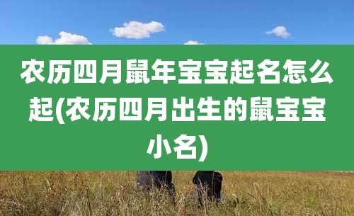 农历四月鼠年宝宝起名怎么起(农历四月出生的鼠宝宝小名)