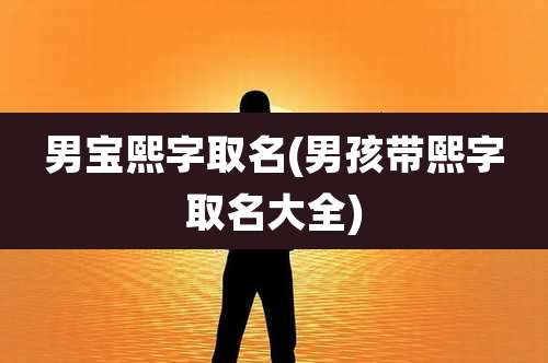 男宝熙字取名(男孩带熙字取名大全)
