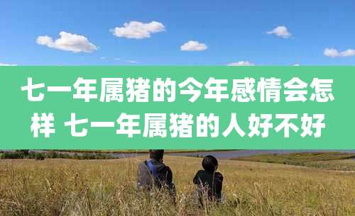 七一年属猪的今年感情会怎样 七一年属猪的人好不好