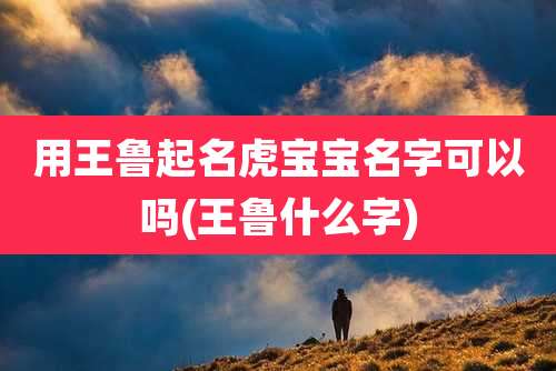 用王鲁起名虎宝宝名字可以吗(王鲁什么字)