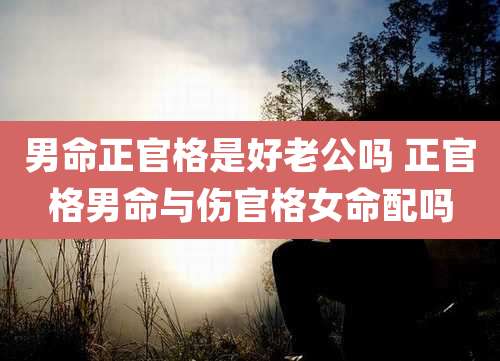 男命正官格是好老公吗 正官格男命与伤官格女命配吗