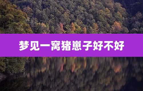 梦见一窝猪崽子好不好