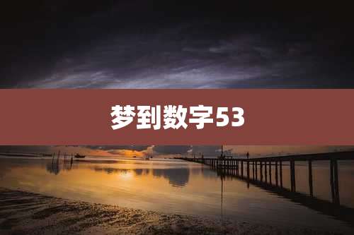 梦到数字53