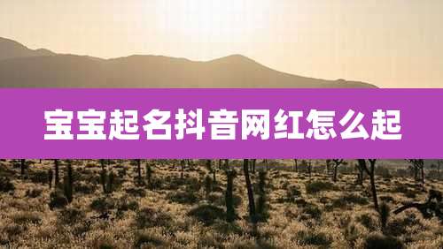 宝宝起名抖音网红怎么起