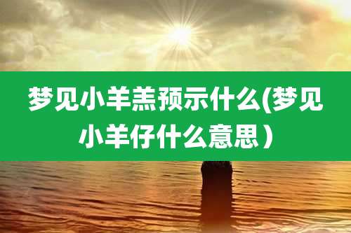 梦见小羊羔预示什么(梦见小羊仔什么意思)