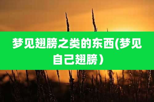 梦见翅膀之类的东西(梦见自己翅膀）