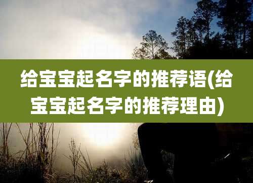 给宝宝起名字的推荐语(给宝宝起名字的推荐理由)