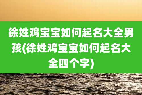 徐姓鸡宝宝如何起名大全男孩(徐姓鸡宝宝如何起名大全四个字)