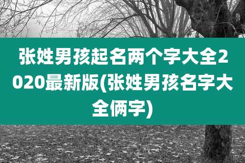 张姓男孩起名两个字大全2020最新版(张姓男孩名字大全俩字)