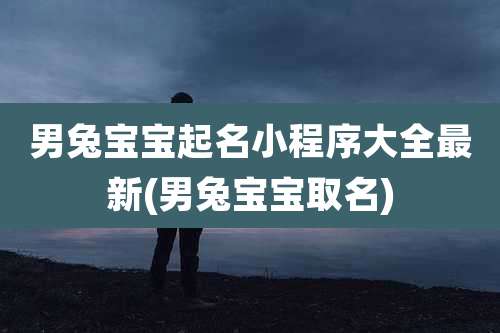 男兔宝宝起名小程序大全最新(男兔宝宝取名)