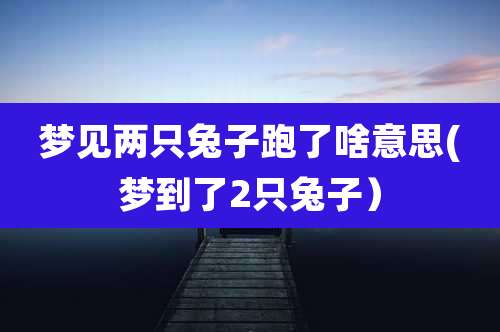 梦见两只兔子跑了啥意思(梦到了2只兔子）