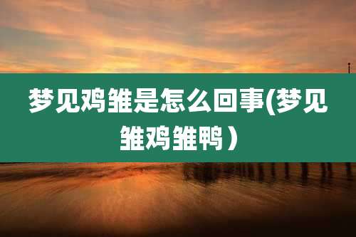 梦见鸡雏是怎么回事(梦见雏鸡雏鸭）