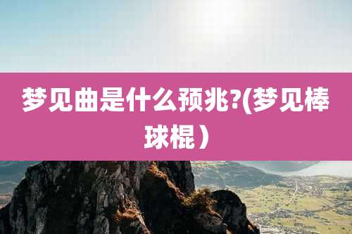 梦见曲是什么预兆?(梦见棒球棍）