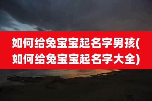 如何给兔宝宝起名字男孩(如何给兔宝宝起名字大全)