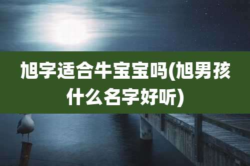 旭字适合牛宝宝吗(旭男孩什么名字好听)