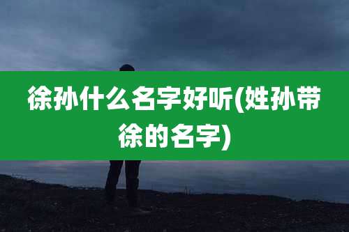 徐孙什么名字好听(姓孙带徐的名字)