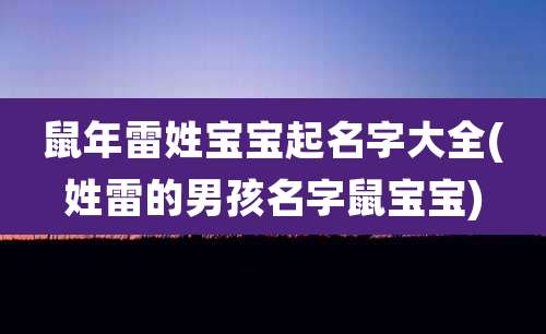 鼠年雷姓宝宝起名字大全(姓雷的男孩名字鼠宝宝)