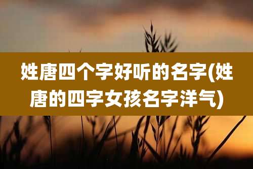 姓唐四个字好听的名字(姓唐的四字女孩名字洋气)