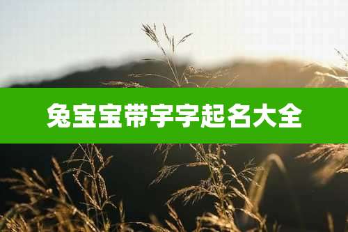 兔宝宝带宇字起名大全