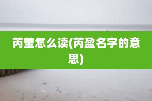 芮莹怎么读(芮盈名字的意思)