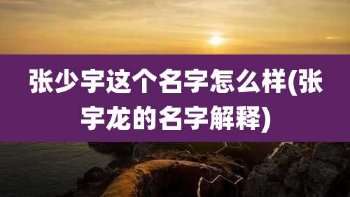张少宇这个名字怎么样(张宇龙的名字解释)