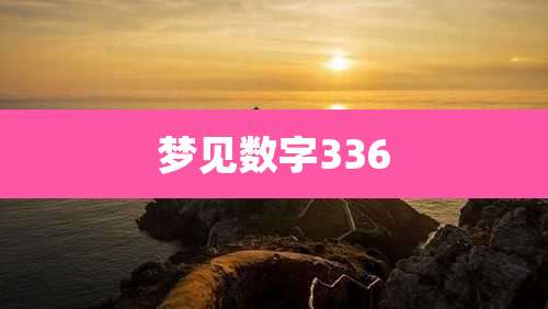 梦见数字336