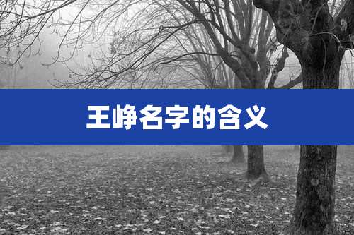 王峥名字的含义