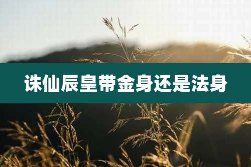 诛仙辰皇带金身还是法身