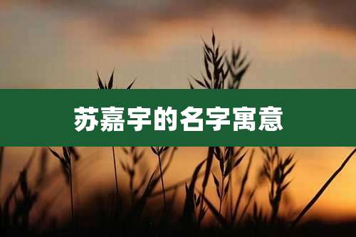 苏嘉宇的名字寓意