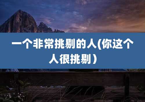 一个非常挑剔的人(你这个人很挑剔）