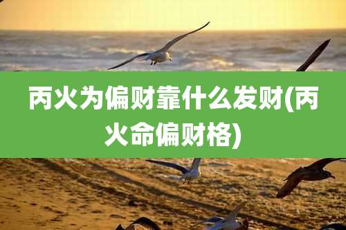 丙火为偏财靠什么发财(丙火命偏财格)