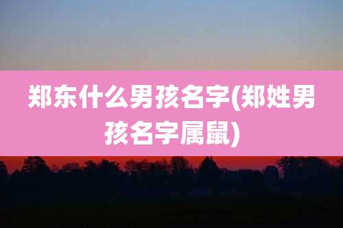 郑东什么男孩名字(郑姓男孩名字属鼠)