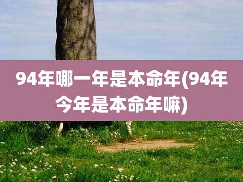 94年哪一年是本命年(94年今年是本命年嘛)